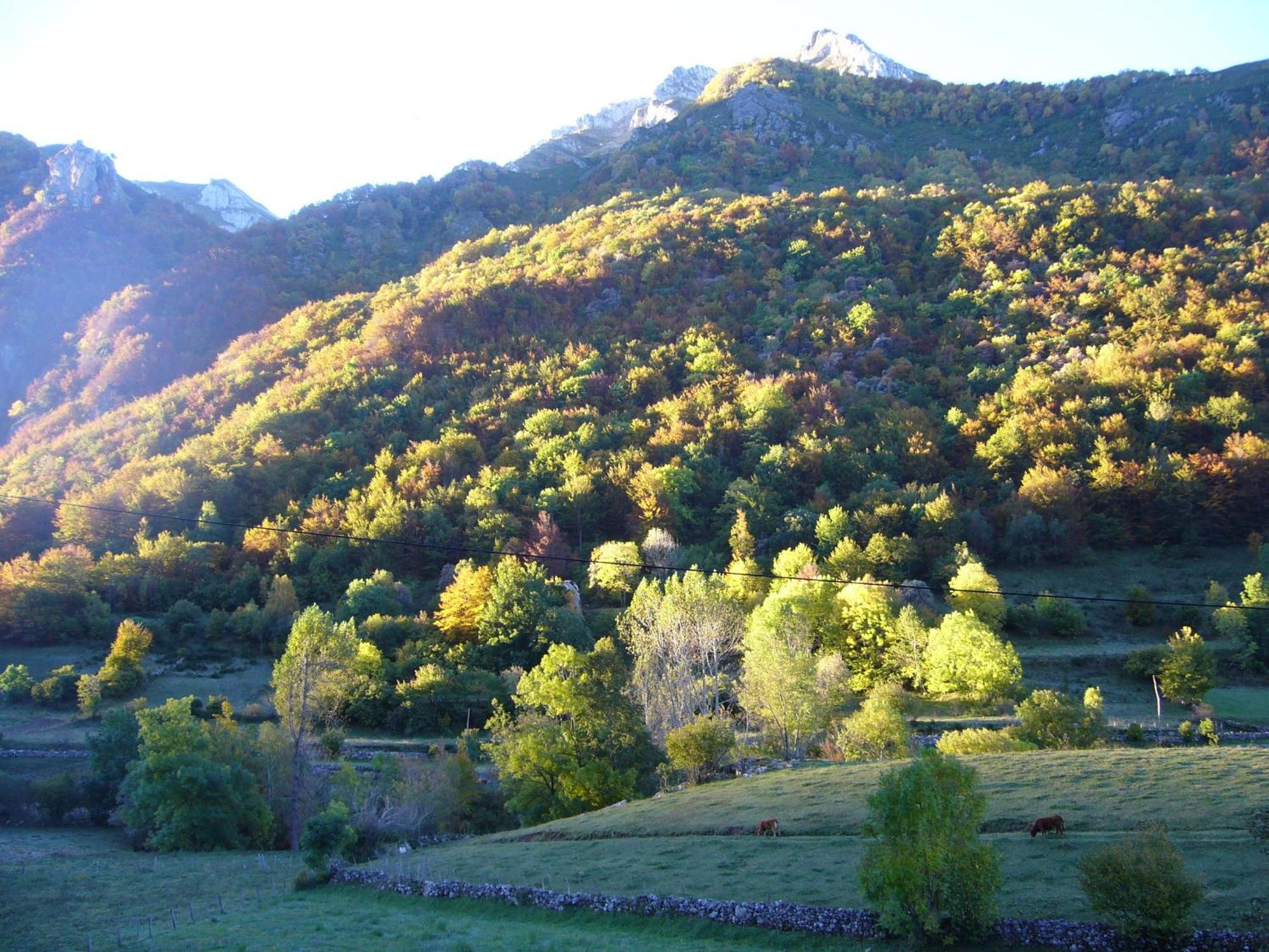 La Corona del Auteiro Valle de Lago Esterno foto